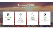 EcoVadis网上注册操作流程，需要注意哪些事项？